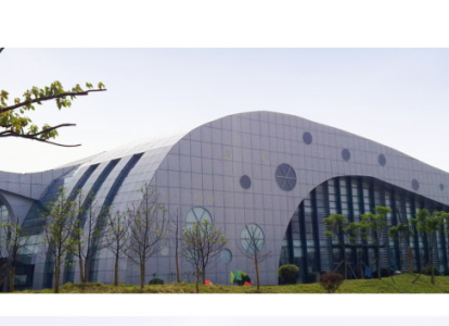 宜宾会议中心外景网架工程